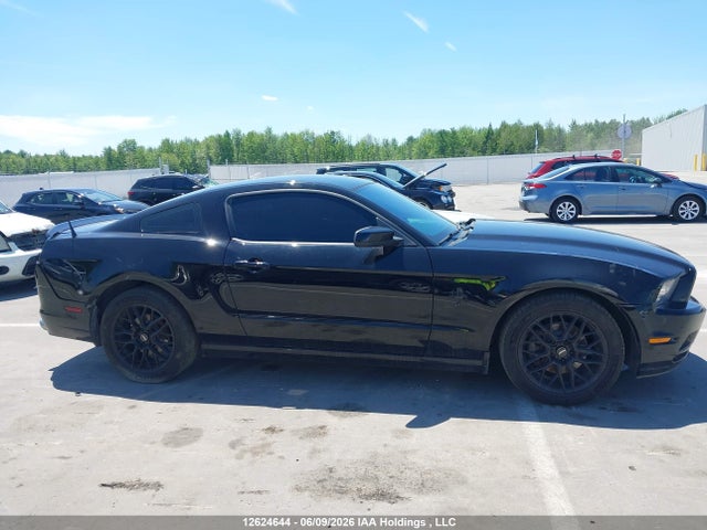 Продаж на аукціоні авто 2013 Ford Mustang, vin: 1ZVBP8AM1D5222508, номер лоту: 12624644