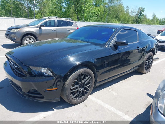 Продаж на аукціоні авто 2013 Ford Mustang, vin: 1ZVBP8AM1D5222508, номер лоту: 12624644