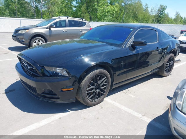 Продаж на аукціоні авто 2013 Ford Mustang, vin: 1ZVBP8AM1D5222508, номер лоту: 12624644