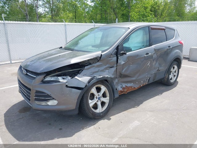 12624816 :رقم المزاد ، 1FMCU0GX2DUC81474 vin ، 2013 Ford Escape مزاد بيع