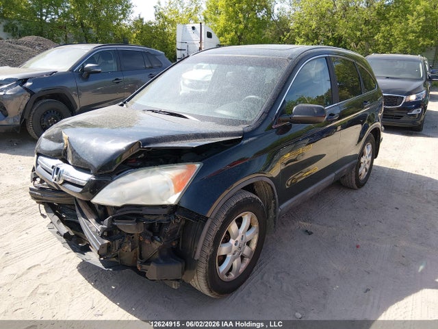 Продажа на аукционе авто 2009 Honda Cr-v Ex, vin: 5J6RE48559L800220, номер лота: 12624915