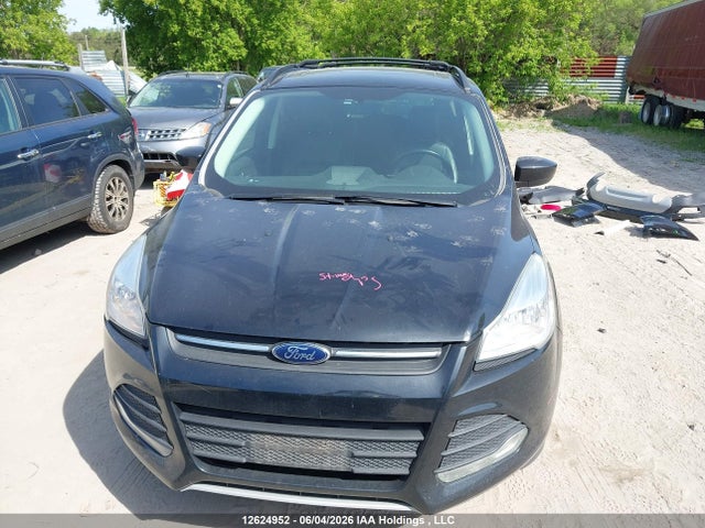 12624952 :رقم المزاد ، 1FMCU0GX3DUA36182 vin ، 2013 Ford Escape Se مزاد بيع