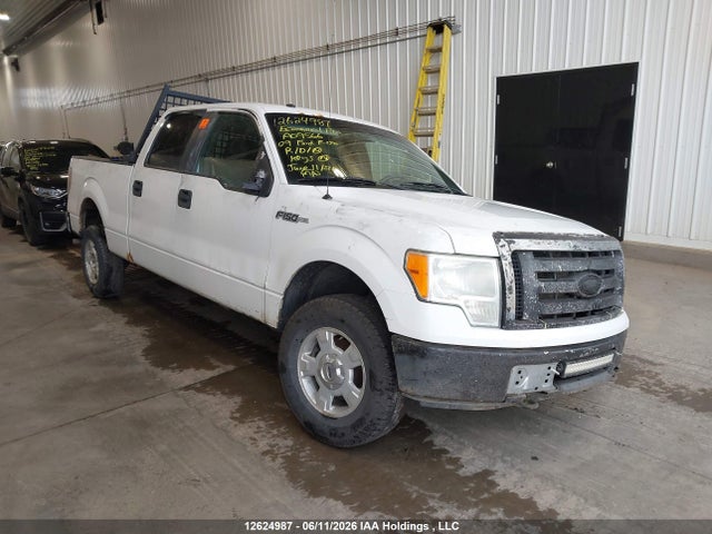 12624987 :رقم المزاد ، 1FTRW14889FA09566 vin ، 2009 Ford F-150 Xlt مزاد بيع