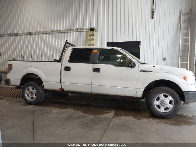 Aukcja sprzedaży 2009 Ford F-150 Xlt, vin: 1FTRW14889FA09566, numer aukcji: 12624987