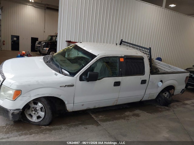 Aukcja sprzedaży 2009 Ford F-150 Xlt, vin: 1FTRW14889FA09566, numer aukcji: 12624987