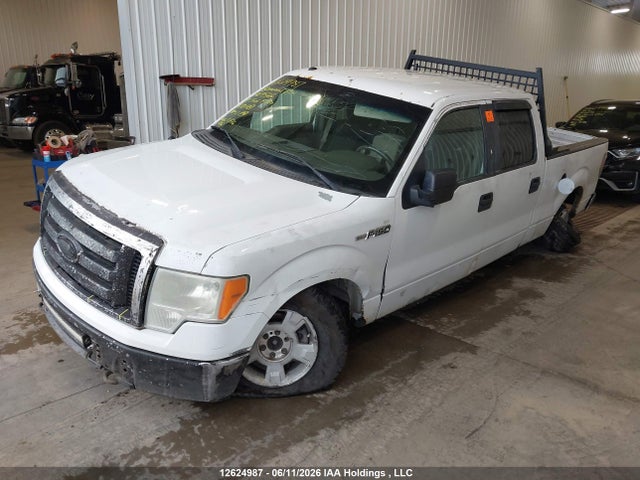 Aukcja sprzedaży 2009 Ford F-150 Xlt, vin: 1FTRW14889FA09566, numer aukcji: 12624987