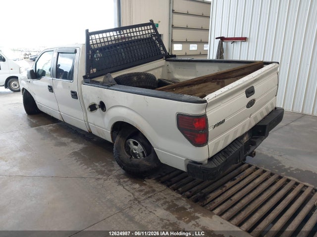 Aukcja sprzedaży 2009 Ford F-150 Xlt, vin: 1FTRW14889FA09566, numer aukcji: 12624987