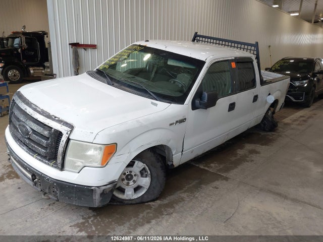 Aukcja sprzedaży 2009 Ford F-150 Xlt, vin: 1FTRW14889FA09566, numer aukcji: 12624987