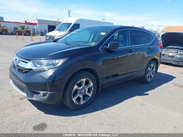 12625076 :رقم المزاد ، 2HKRW2H82KH144845 vin ، 2019 Honda Cr-v Exl مزاد بيع