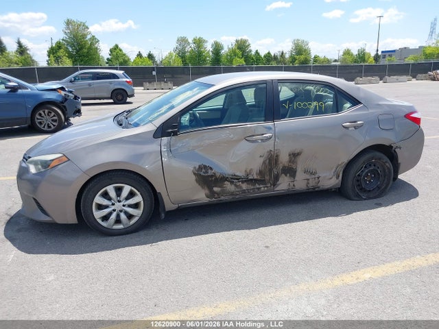 12620900 :رقم المزاد ، 2T1BURHE5EC100299 vin ، 2014 Toyota Corolla Le مزاد بيع
