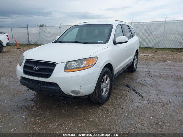 Aukcja sprzedaży 2009 Hyundai Santa Fe Gl, vin: 5NMSG73E29H244119, numer aukcji: 12625181