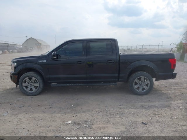 12625306 :رقم المزاد ، 1FTEW1E40KFC32622 vin ، 2019 Ford F-150 مزاد بيع