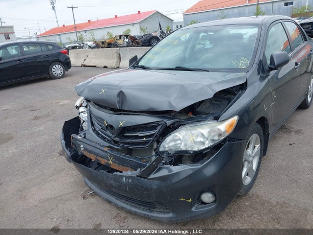 12620134 :رقم المزاد ، 2T1BU4EE3DC041694 vin ، 2013 Toyota Corolla Le مزاد بيع