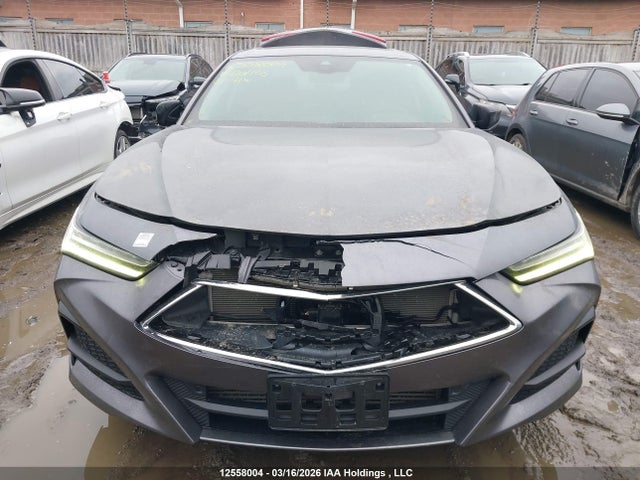 19UUB6F44MA801105 Acura TLX TECH