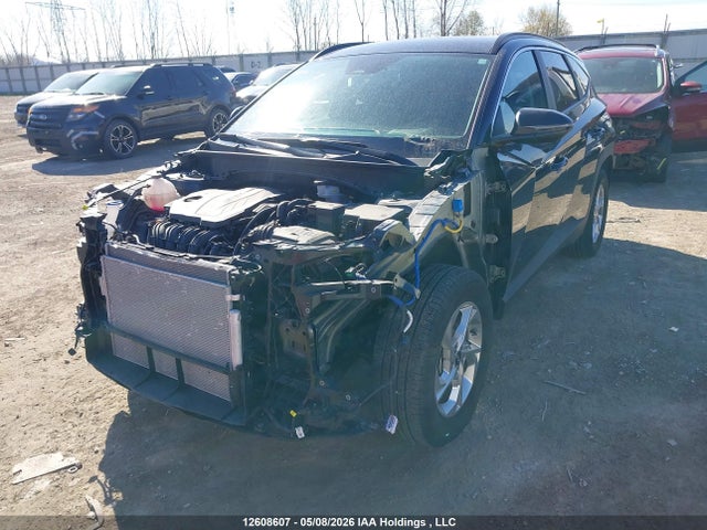 12608607 :رقم المزاد ، KM8JBCDE1RU338174 vin ، 2024 Hyundai Tucson Preferred Awd مزاد بيع