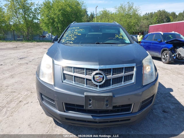 2010 Cadillac Srx Luxury Collection მანქანა იყიდება აუქციონზე, vin: 3GYFNDEY4AS607136, აუქციონის ნომერი: 12613075