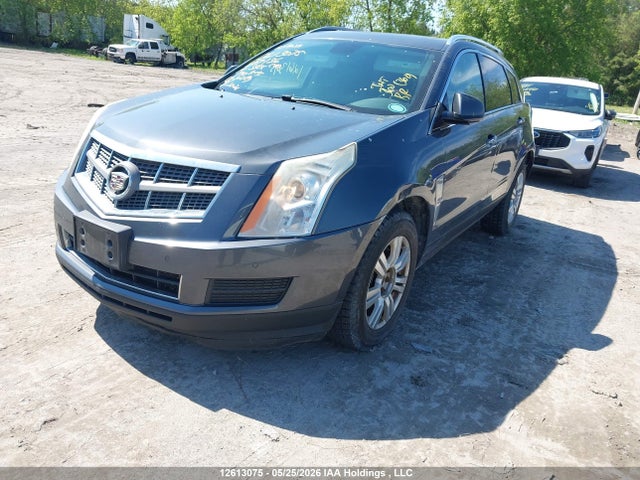 2010 Cadillac Srx Luxury Collection მანქანა იყიდება აუქციონზე, vin: 3GYFNDEY4AS607136, აუქციონის ნომერი: 12613075