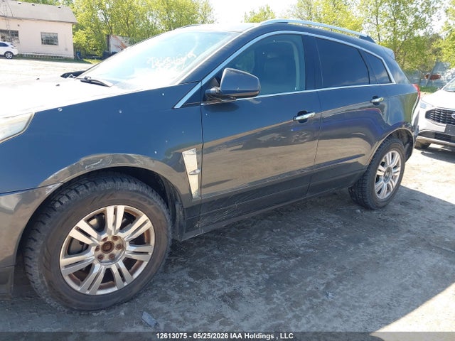 2010 Cadillac Srx Luxury Collection მანქანა იყიდება აუქციონზე, vin: 3GYFNDEY4AS607136, აუქციონის ნომერი: 12613075