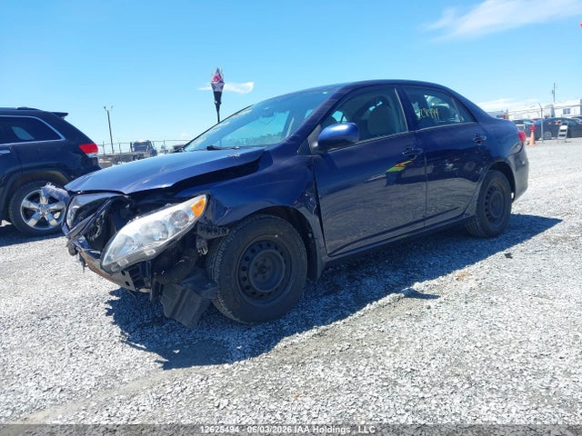 12625494 :رقم المزاد ، 2T1BU4EE2DC069857 vin ، 2013 Toyota Corolla Ce مزاد بيع