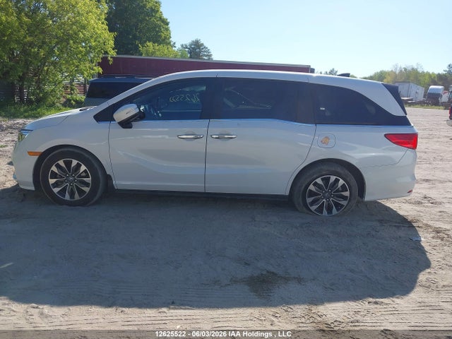 2024 Honda Odyssey Ex-l მანქანა იყიდება აუქციონზე, vin: 5FNRL6H6XRB504399, აუქციონის ნომერი: 12625522
