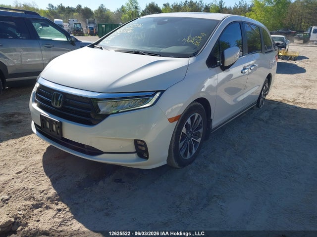 2024 Honda Odyssey Ex-l მანქანა იყიდება აუქციონზე, vin: 5FNRL6H6XRB504399, აუქციონის ნომერი: 12625522