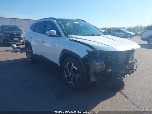 Продаж на аукціоні авто 2023 Hyundai Tucson Luxury Hybrid Awd, vin: KM8JCCA18PU113830, номер лоту: 12625538