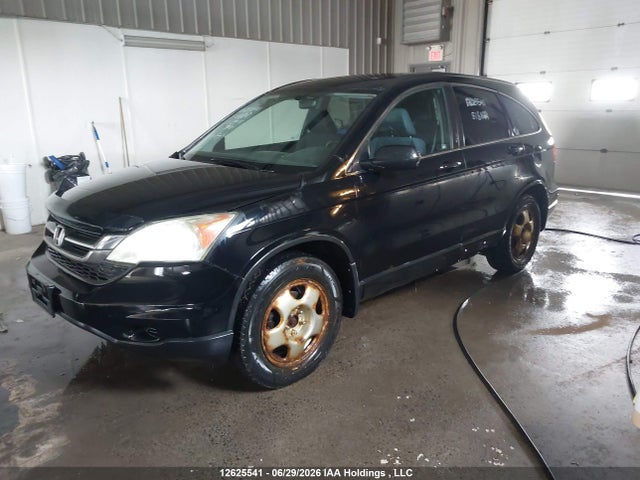 Продаж на аукціоні авто 2011 Honda Cr-v Lx, vin: 5J6RE4H32BL816122, номер лоту: 12625541
