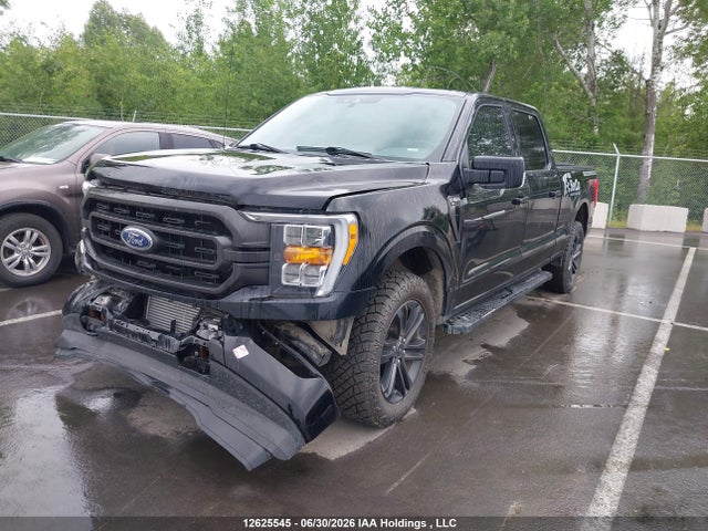 Продаж на аукціоні авто 2021 Ford F-150 Xlt, vin: 1FTFW1E81MFB11124, номер лоту: 12625545