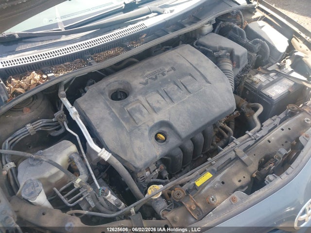 12625606 :رقم المزاد ، 2T1BU4EEXBC584263 vin ، 2011 Toyota Corolla مزاد بيع