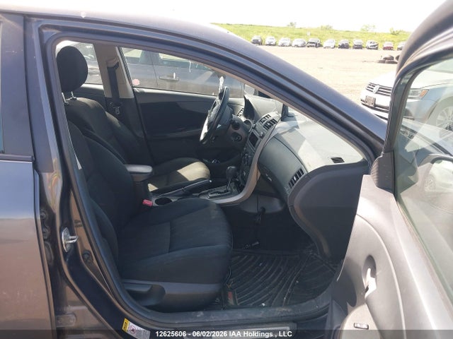 12625606 :رقم المزاد ، 2T1BU4EEXBC584263 vin ، 2011 Toyota Corolla مزاد بيع