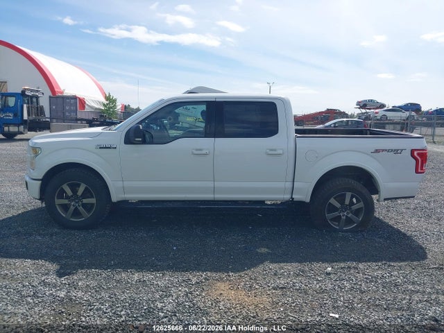 Ford F-150 Xlt 2016 1FTEW1EF1GFA02385 Image 15