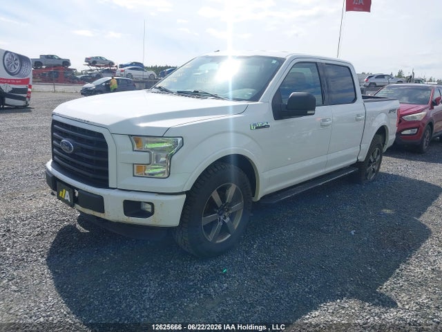 Ford F-150 Xlt 2016 1FTEW1EF1GFA02385 Image 2