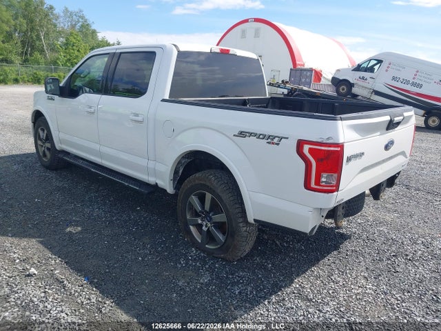 Ford F-150 Xlt 2016 1FTEW1EF1GFA02385 Image 3