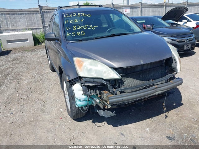 2011 Honda Cr-v მანქანა იყიდება აუქციონზე, vin: 5J6RE4H71BL820536, აუქციონის ნომერი: 12625700