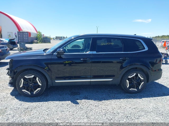 Продажа на аукционе авто 2024 Kia Telluride Ex, vin: 5XYP3DGC7RG557816, номер лота: 12625744