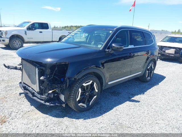 Продажа на аукционе авто 2024 Kia Telluride Ex, vin: 5XYP3DGC7RG557816, номер лота: 12625744