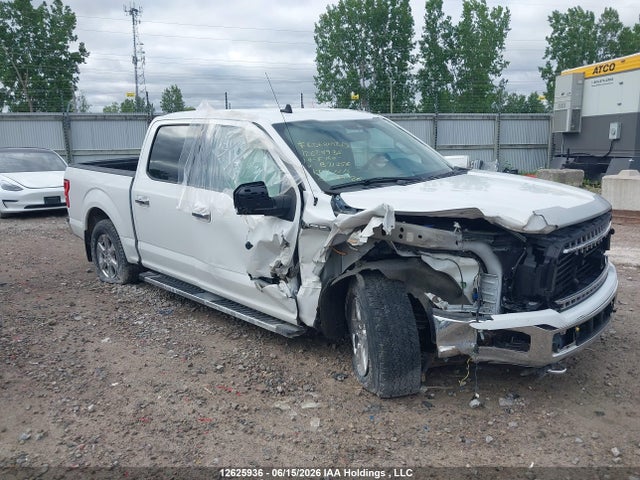 Aukcja sprzedaży 2019 Ford F-150 Xlt, vin: 1FTEW1EP7KFB71456, numer aukcji: 12625936