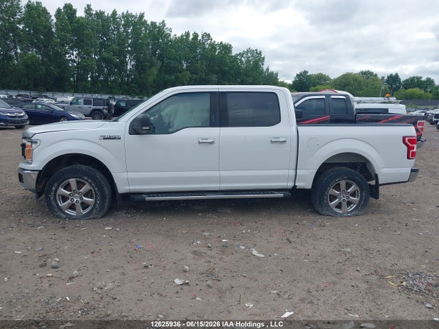 Продажа на аукционе авто 2019 Ford F-150 Xlt, vin: 1FTEW1EP7KFB71456, номер лота: 12625936