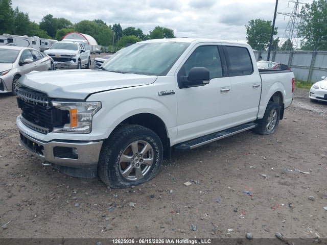 Продажа на аукционе авто 2019 Ford F-150 Xlt, vin: 1FTEW1EP7KFB71456, номер лота: 12625936