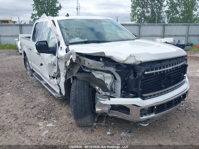 Продажа на аукционе авто 2019 Ford F-150 Xlt, vin: 1FTEW1EP7KFB71456, номер лота: 12625936
