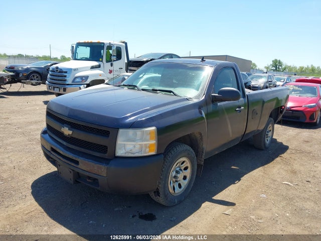Продаж на аукціоні авто 2010 Chevrolet Silverado 1500 Wt, vin: 1GCPCPEX8AZ221704, номер лоту: 12625991