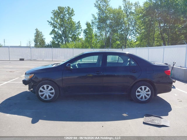 12626144 :رقم المزاد ، 2T1BU4EE9BC614398 vin ، 2011 Toyota Corolla Ce مزاد بيع