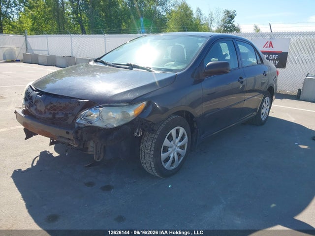 12626144 :رقم المزاد ، 2T1BU4EE9BC614398 vin ، 2011 Toyota Corolla Ce مزاد بيع