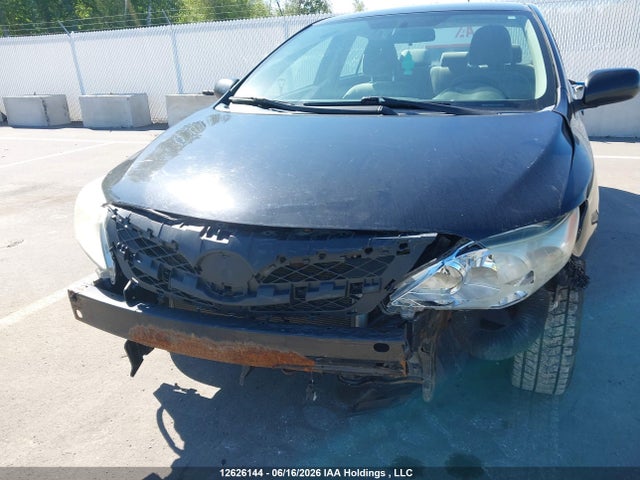 12626144 :رقم المزاد ، 2T1BU4EE9BC614398 vin ، 2011 Toyota Corolla Ce مزاد بيع