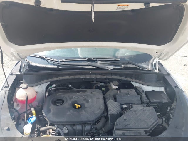 12626164 :رقم المزاد ، KM8J3CA41MU381382 vin ، 2021 Hyundai Tucson Preferred Awd With Sun And Leather Package مزاد بيع