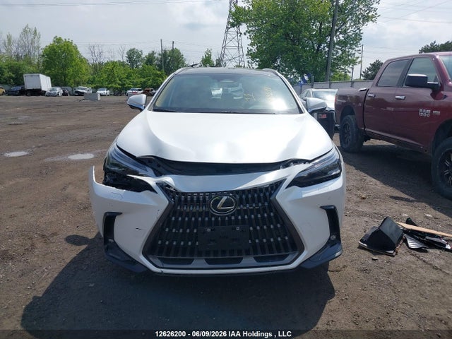 12626200 :رقم المزاد ، 2T2GGCEZ9RC043298 vin ، 2024 Lexus Nx 350 مزاد بيع