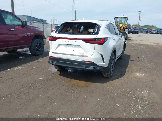 12626200 :رقم المزاد ، 2T2GGCEZ9RC043298 vin ، 2024 Lexus Nx 350 مزاد بيع