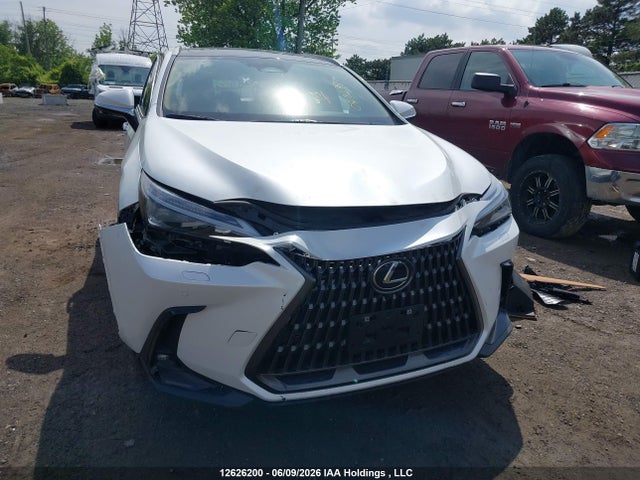12626200 :رقم المزاد ، 2T2GGCEZ9RC043298 vin ، 2024 Lexus Nx 350 مزاد بيع