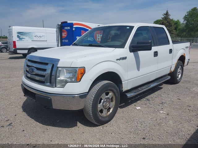 12626311 :رقم المزاد ، 1FTFW1EF4CFC43064 vin ، 2012 Ford F-150 مزاد بيع