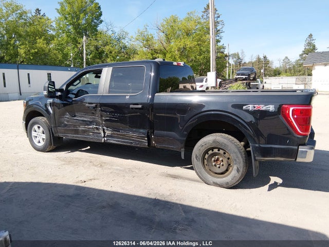 2023 Ford F-150 Xlt მანქანა იყიდება აუქციონზე, vin: 1FTFW1E83PKE58949, აუქციონის ნომერი: 12626314